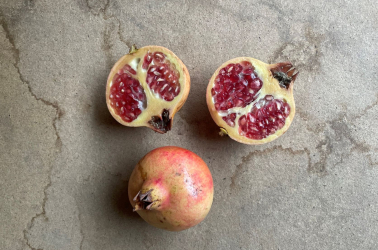 Picture of Pomegranate - Acco