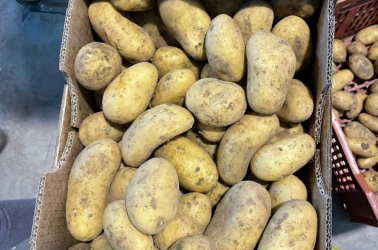Picture of Potatoes (Levante - new season)