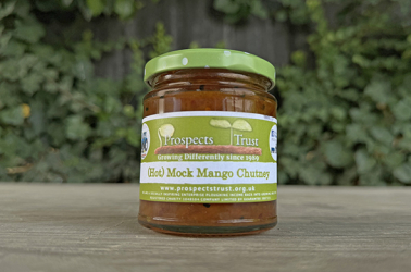 Picture of Prospects Trust Spicy Squash "Not Mango" Chutney (not organic) 240g 10% OFF WAS £3.50