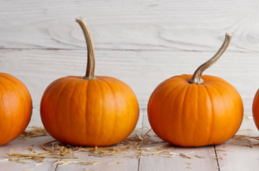 Picture of Pumpkin (small)