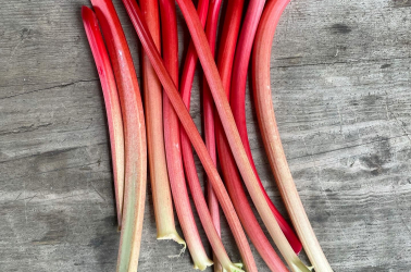 Picture of Rhubarb 275g