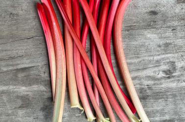 Rhubarb - Local 250g Picture of Rhubarb - Local 250g