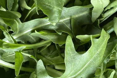 Rocket (100g) - Local Picture of Rocket (100g) - Local