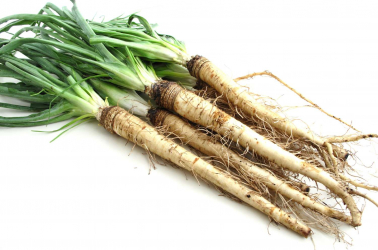 Picture of Salsify - bunch