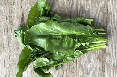 Picture of Spinach - local