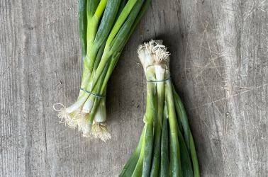 Picture of Spring Onions bunch
