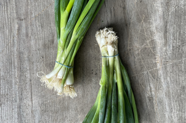 Picture of Spring Onions