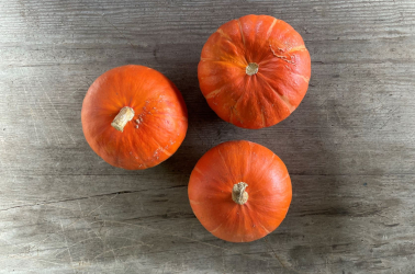 Picture of Squash red Kuri