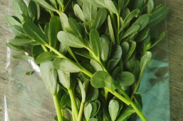 Picture of Summer Purslane 100g bag