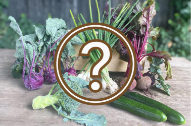 Picture of Surprise Me! - LOCAL PRODUCE (celery, runner beans, others!)