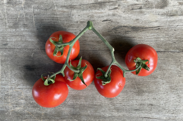 Picture of Tomatoes (Cherry)