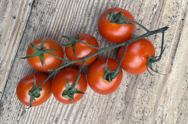 Picture of Tomatoes - Datterino (mini plum)
