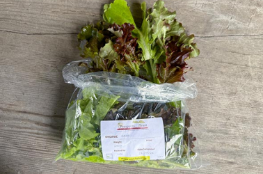 Picture of Winter Salad Bag