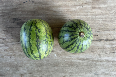 Picture of Yellow Watermelon - large (2kg)